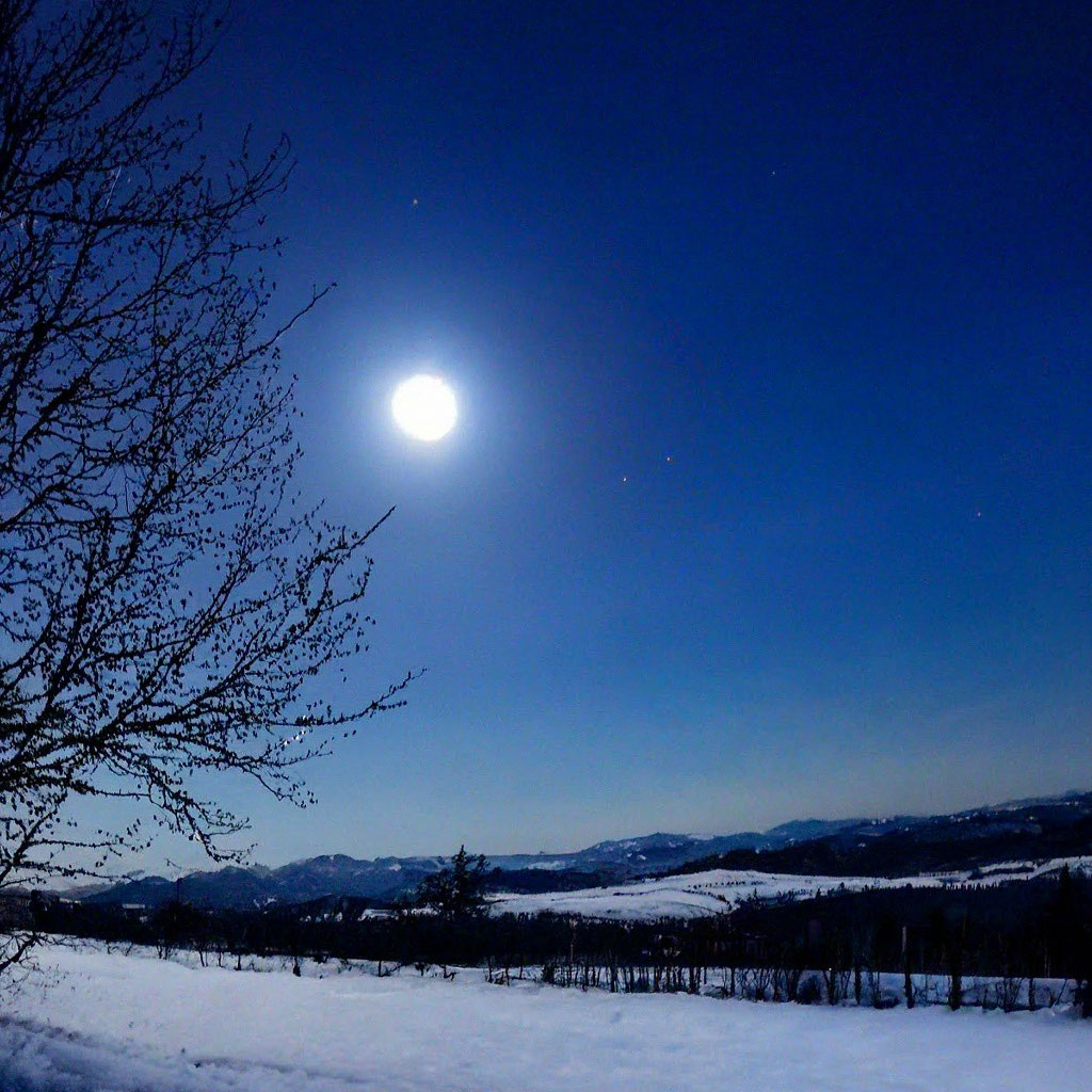 Луна или утренний снег... Любуясь …» — создано в Шедевруме