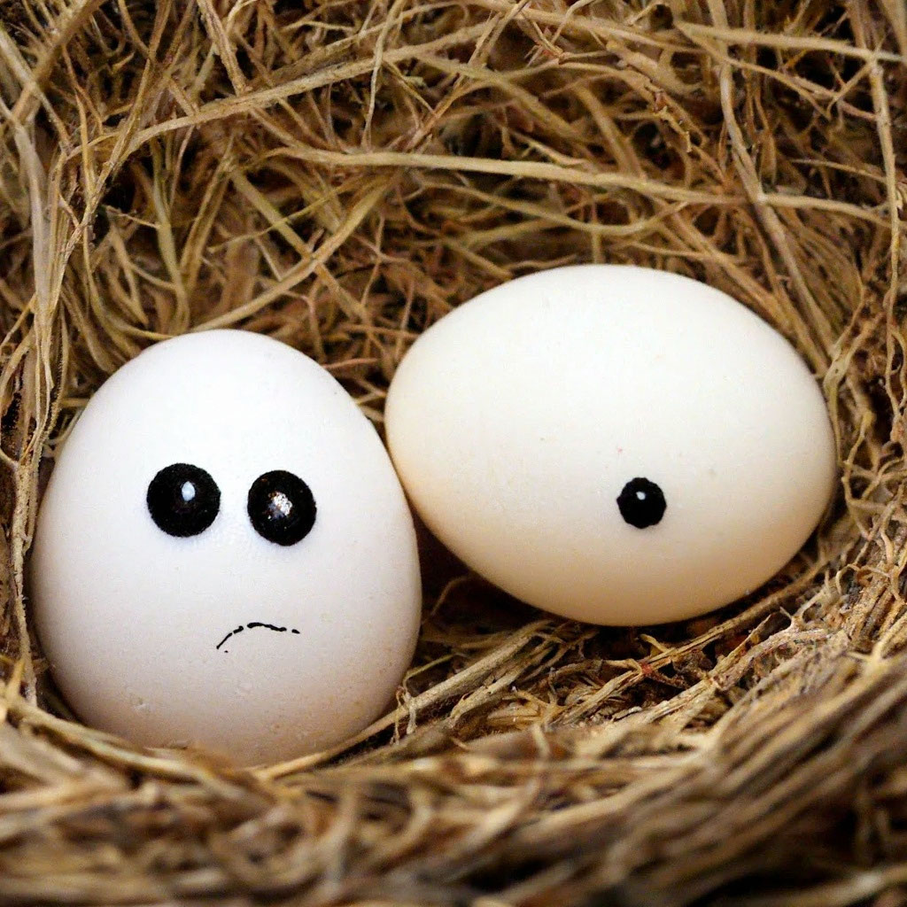 eggs-instead-of-eyes-image-created-in-shedevrum