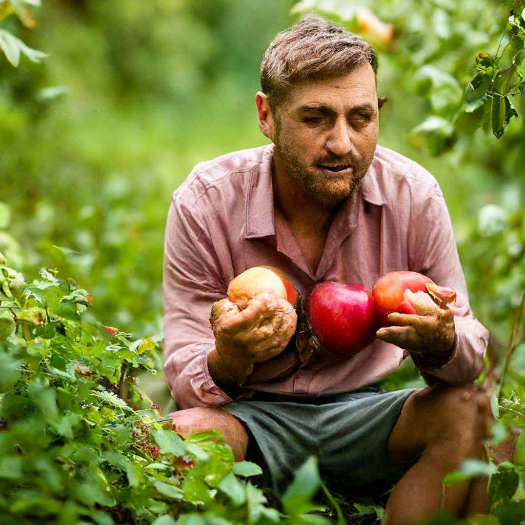 «Человек сидит в кустах и какает …» — создано в Шедевруме