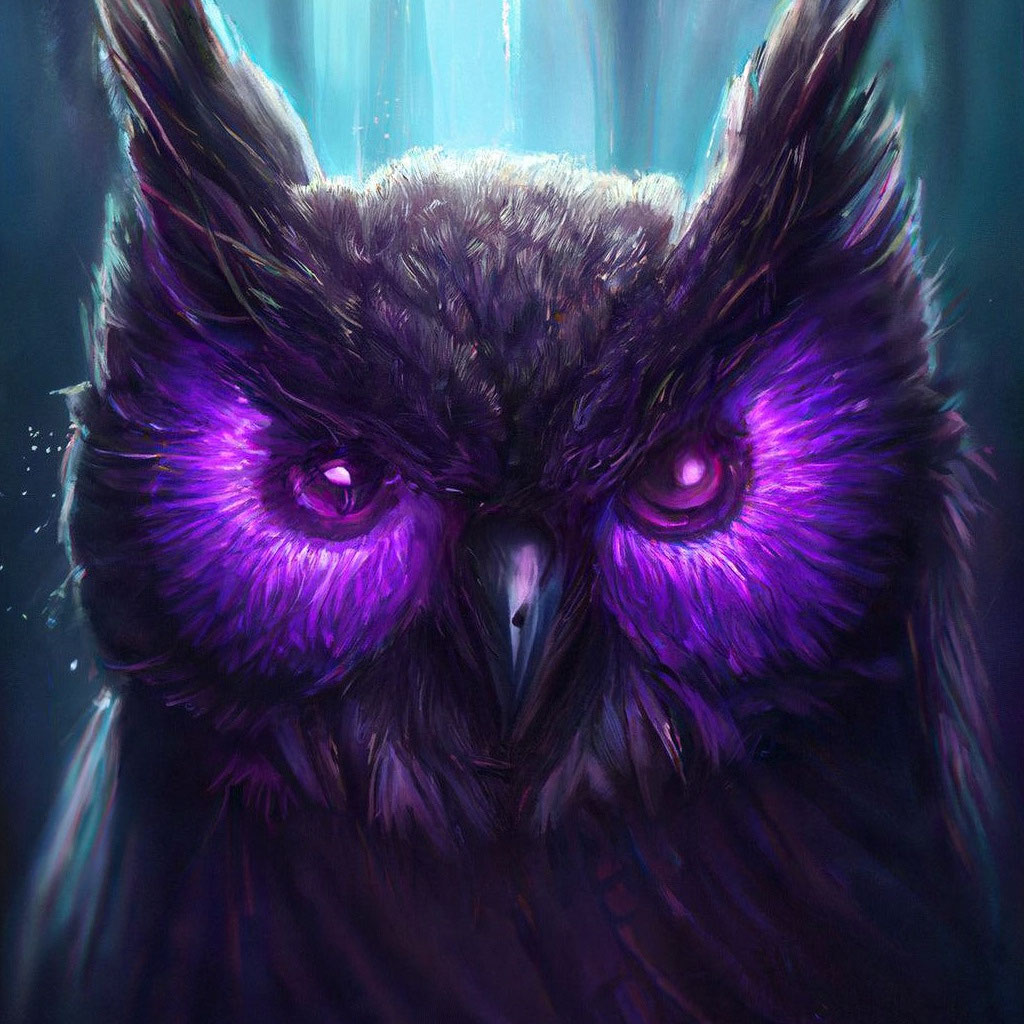 Purple Owl Desktop Wallpaper Download Kansas City Chiefs Live