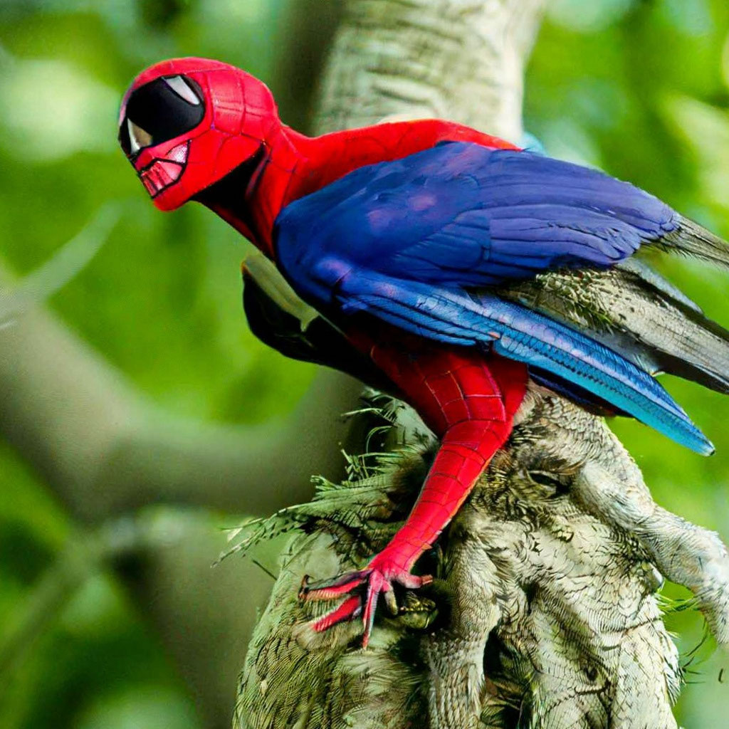 «Человек-паук птица» — картинка создана в Шедевруме