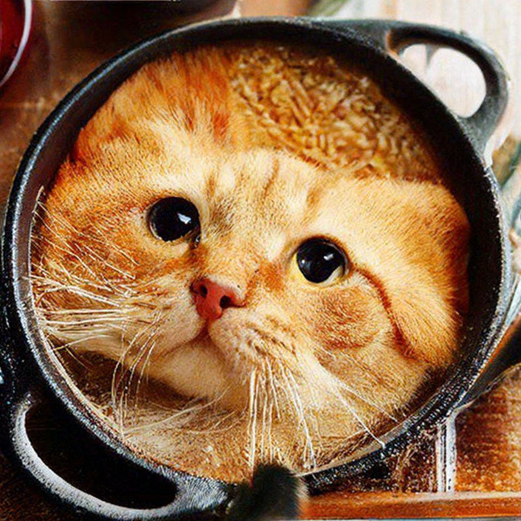 44 способа приготовить кота» — создано в Шедевруме