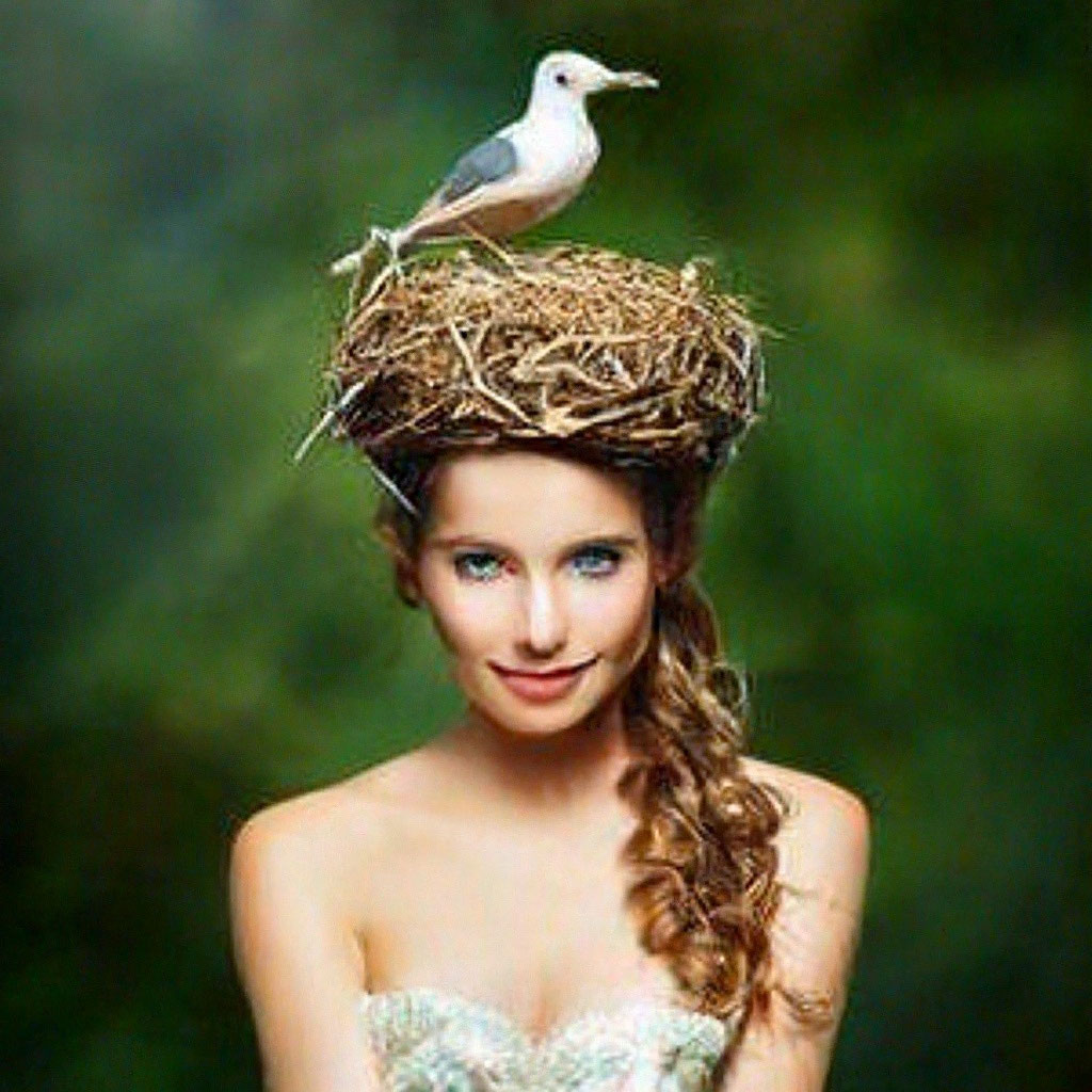 «Птица вьёт гнездо на голове …» — создано в Шедевруме