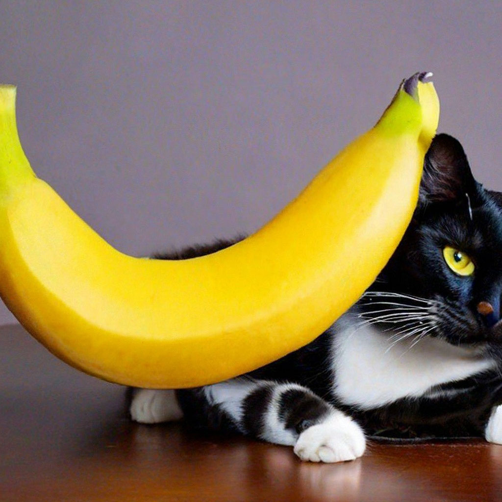 игра про банан | Дзен