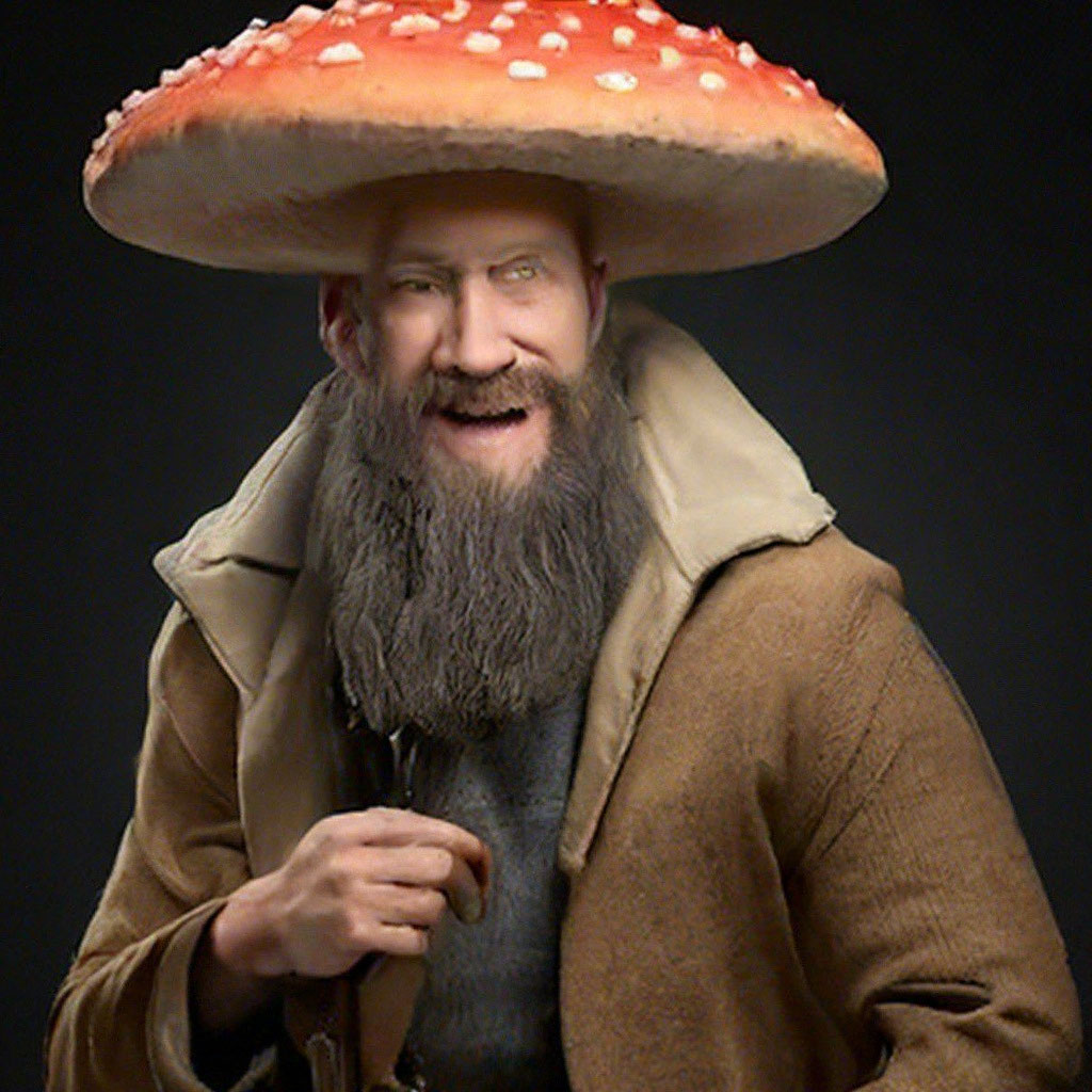 "Mushroom man" - image created in Shedevrum