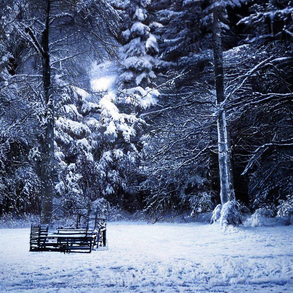 «Зима недаром злится, прошла её пора» — создано в Шедевруме