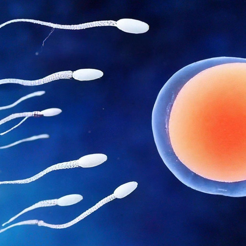 Арық HD порно