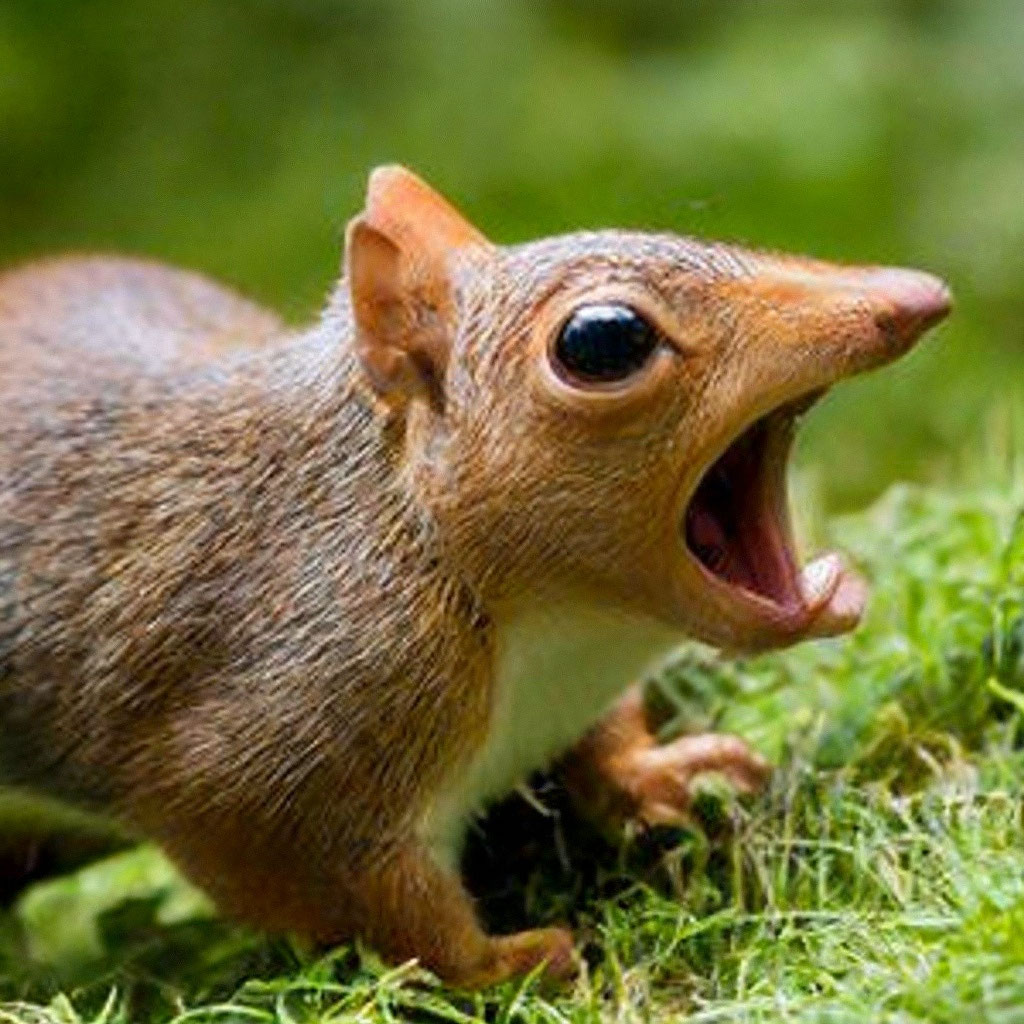 YouTube күйеуі мен әйелі порно видео