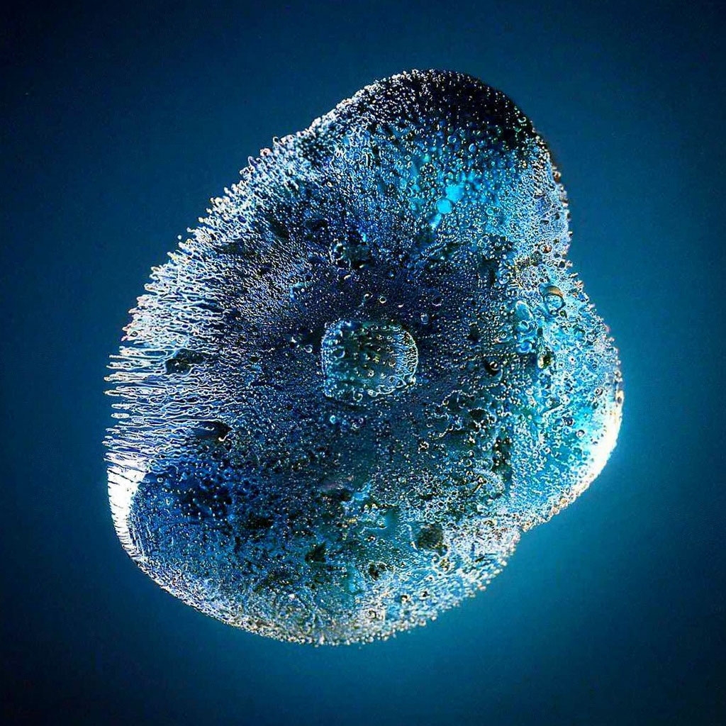 Молекула воды под микроскопом 10 Awesome Facts About Opals Picture opal, Fun facts, Macro and micro