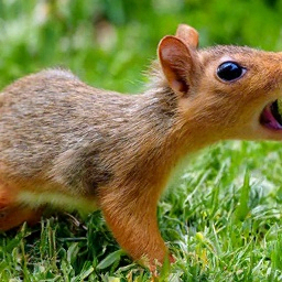 Линежный порно суреттер