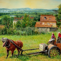 Зрелая женщина прополка огород — От 50 до 54 лет, Травка - Stock Photo | #