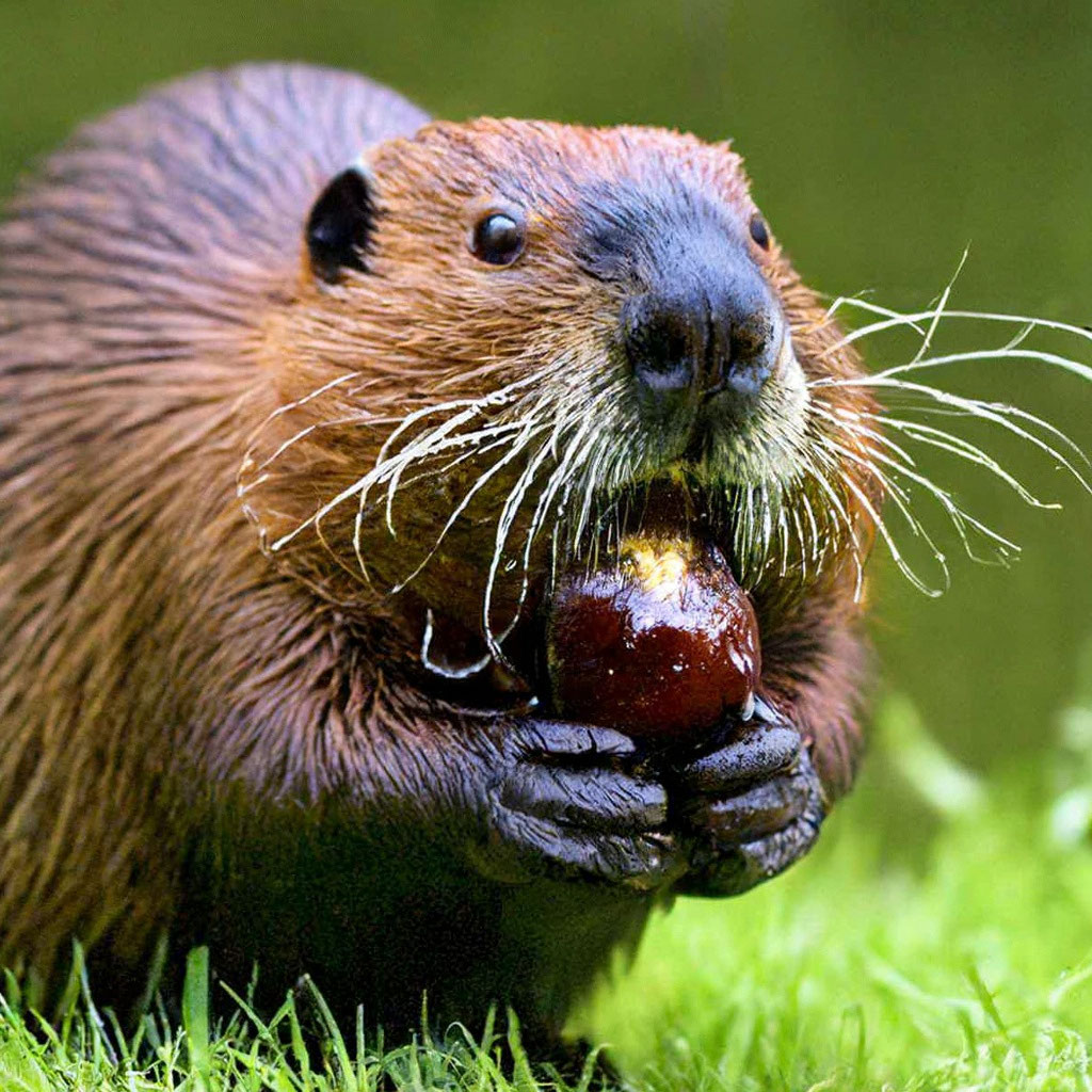 Әйелдер мен қожайындардың жеке порно фотосуреттері