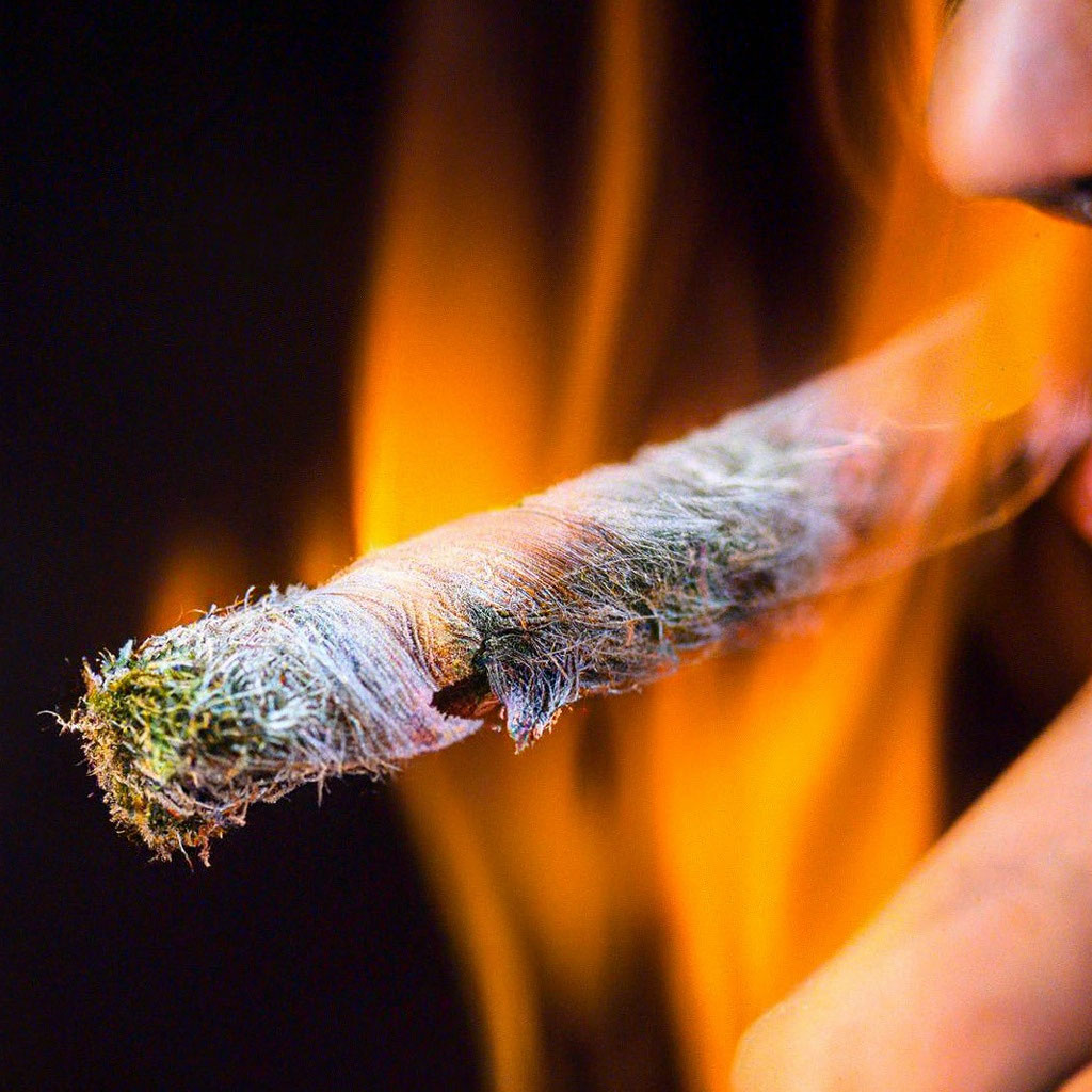 «Горит косяк и у тебя глаза горят» — создано в Шедевруме