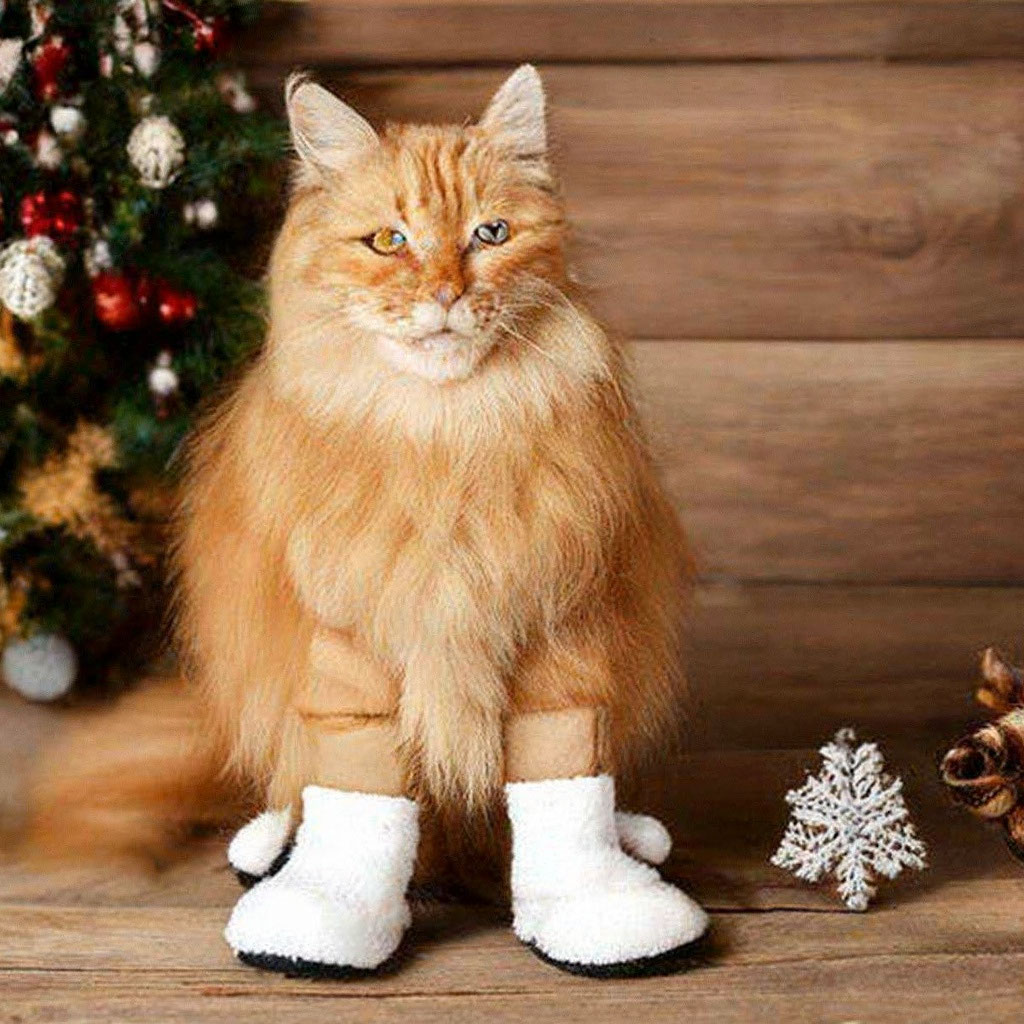 Сибирский рыжий кот в валенках и …» — создано в Шедевруме