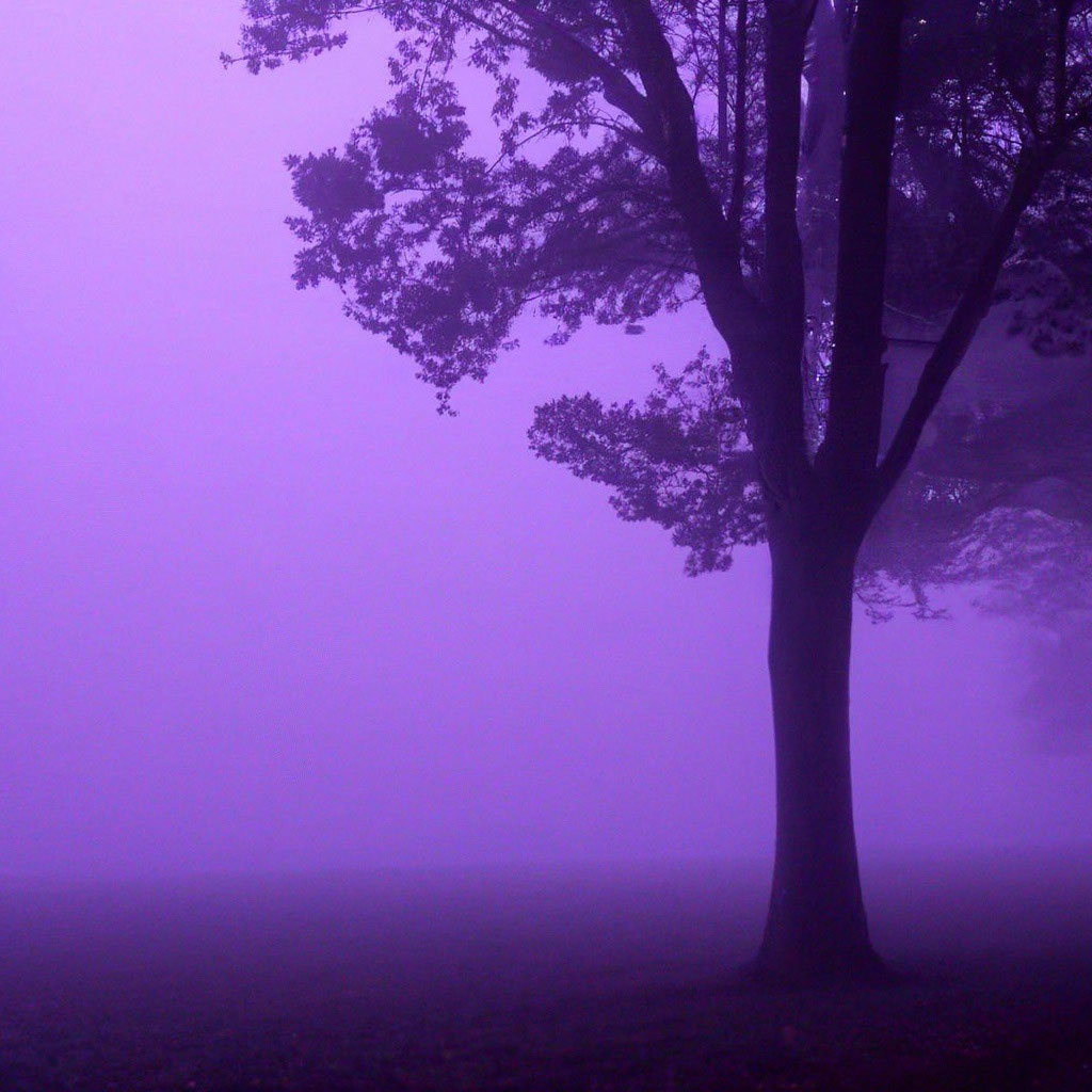 «Фиолетовый туман» — создано в Шедевруме
