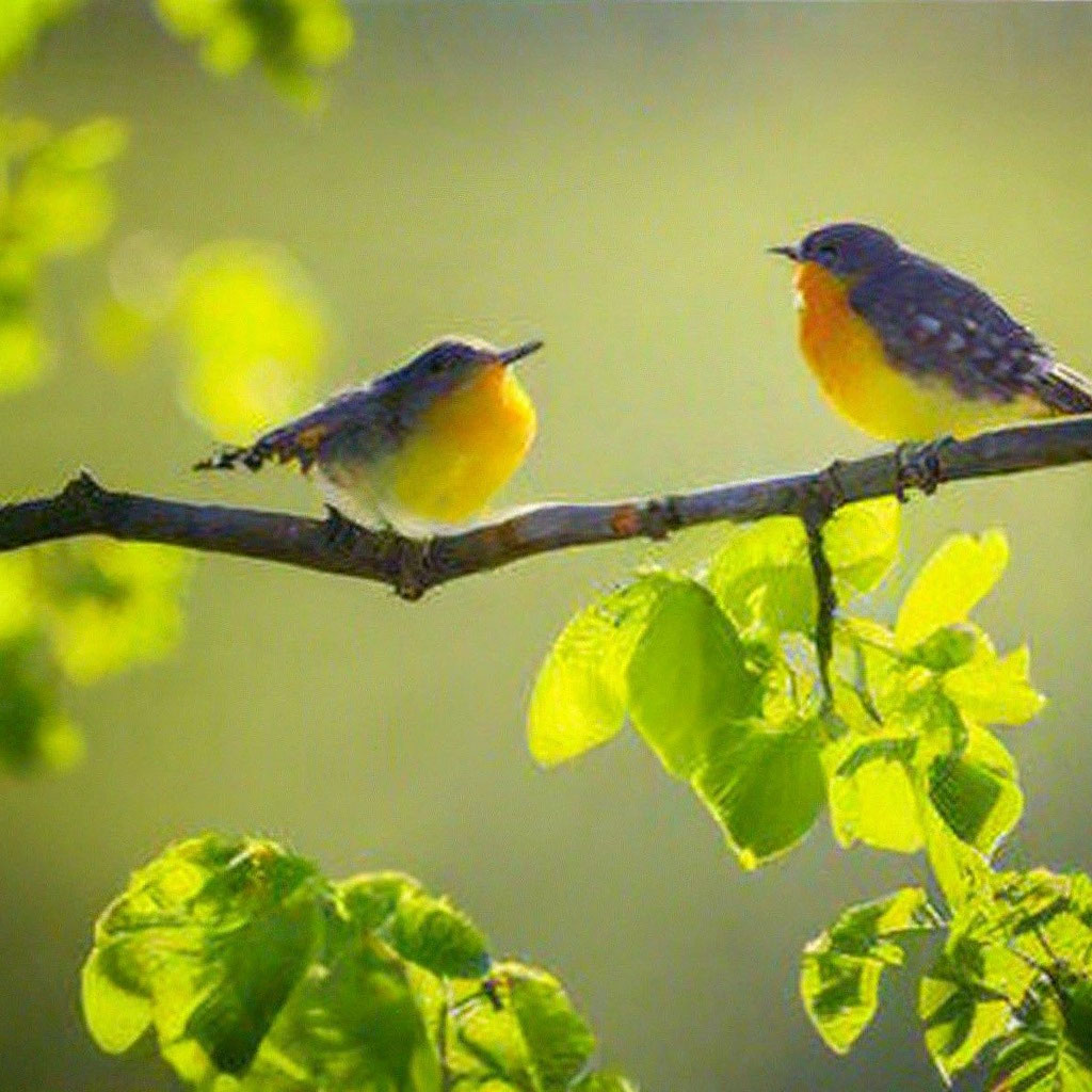 Солнечное весеннее утро птицы поют …» — создано в Шедевруме