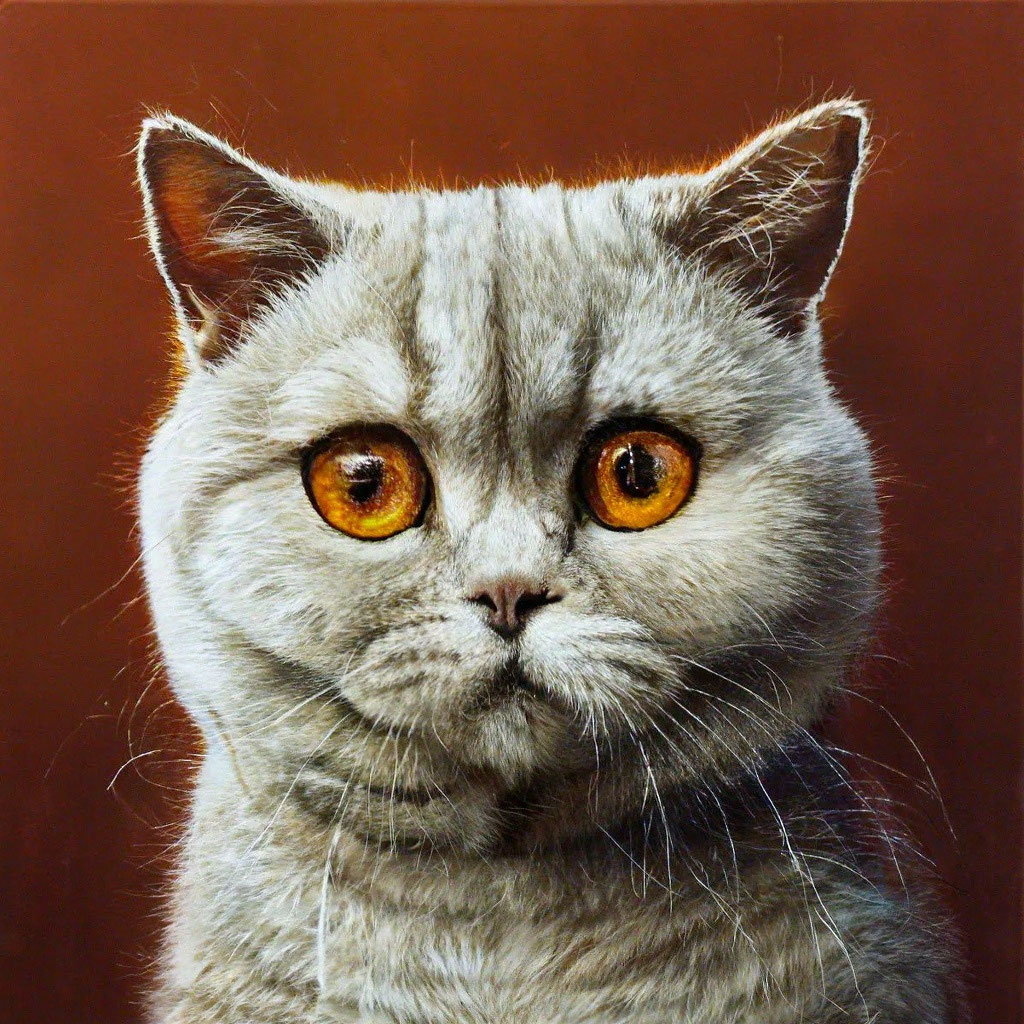 Фото по запросу Британская короткошерстная кошка