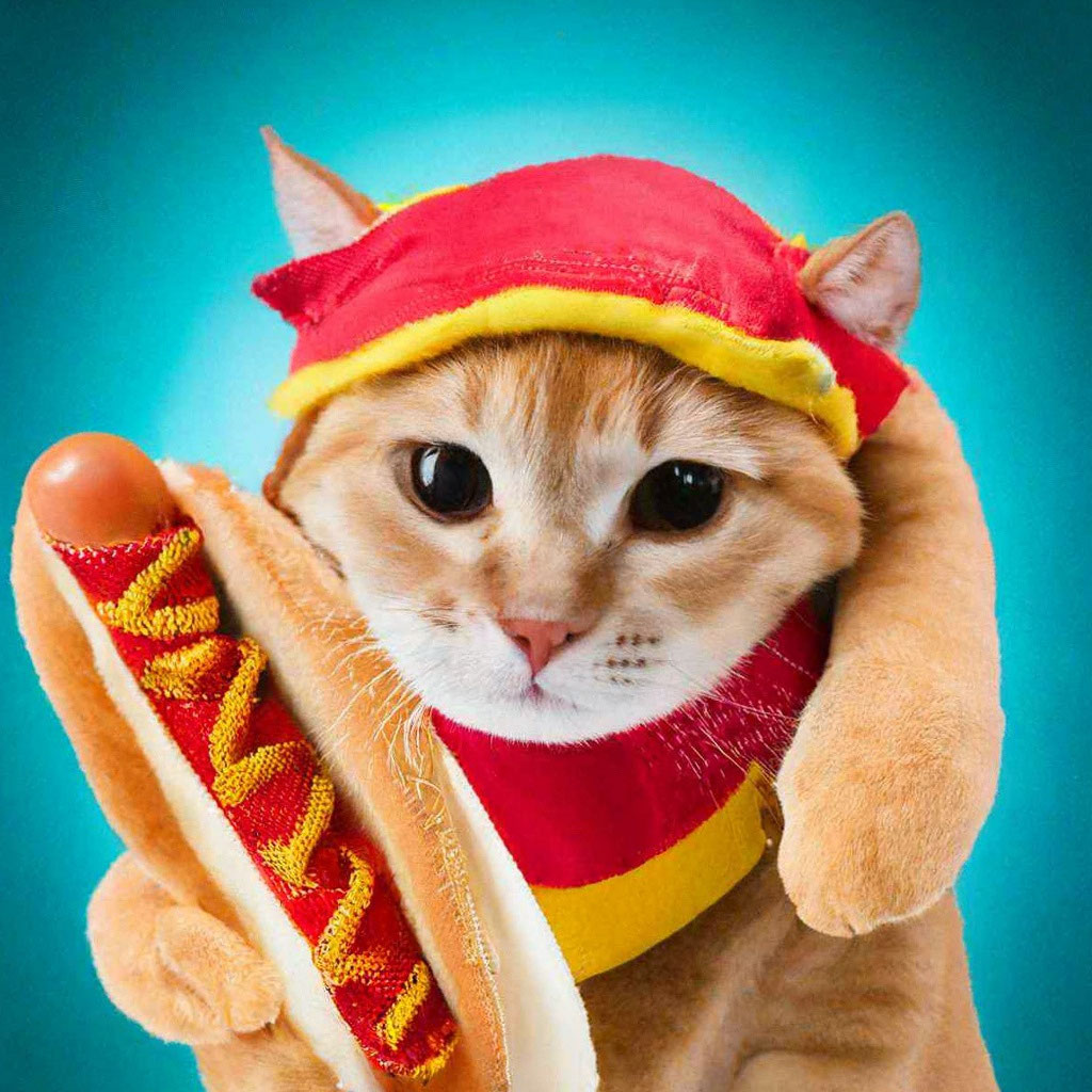 Cute cat in a hot dog costume image created in Shedevrum