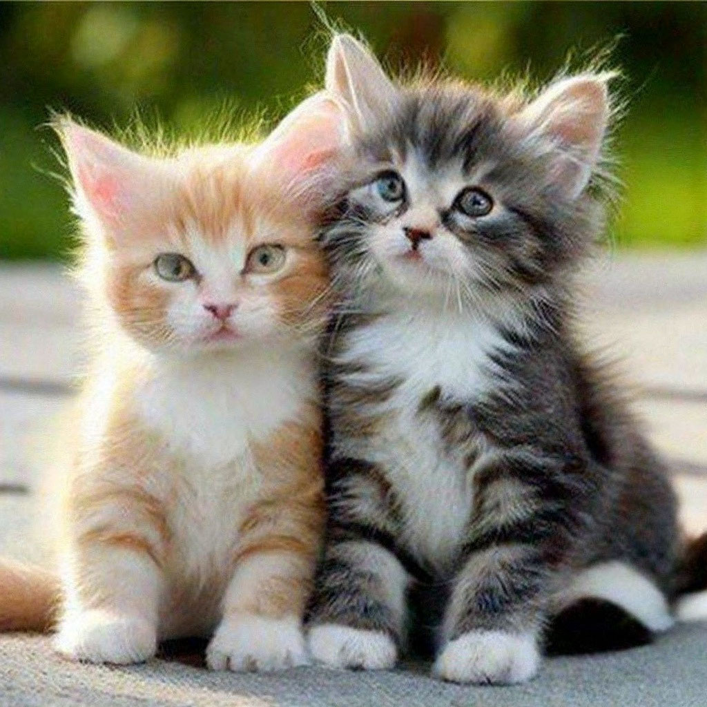 5fd4ff4ebbe065b:upscaled