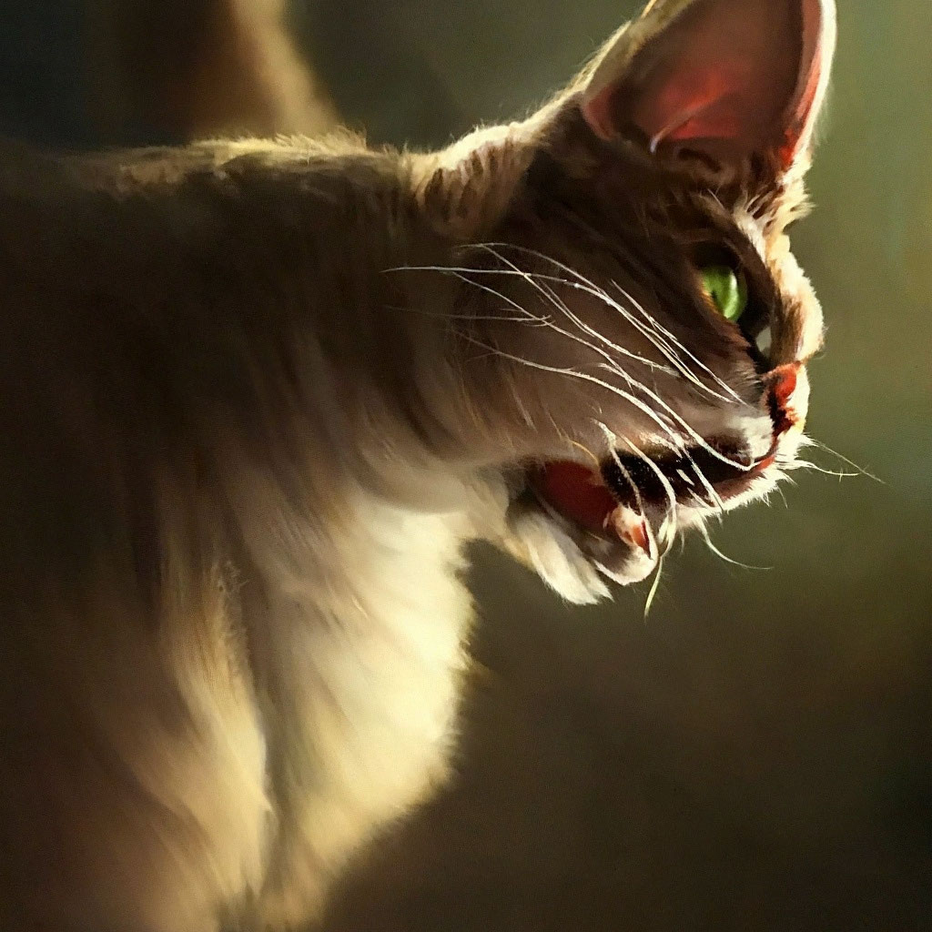 Кот кусает кота которые кусает кота…» — создано в Шедевруме