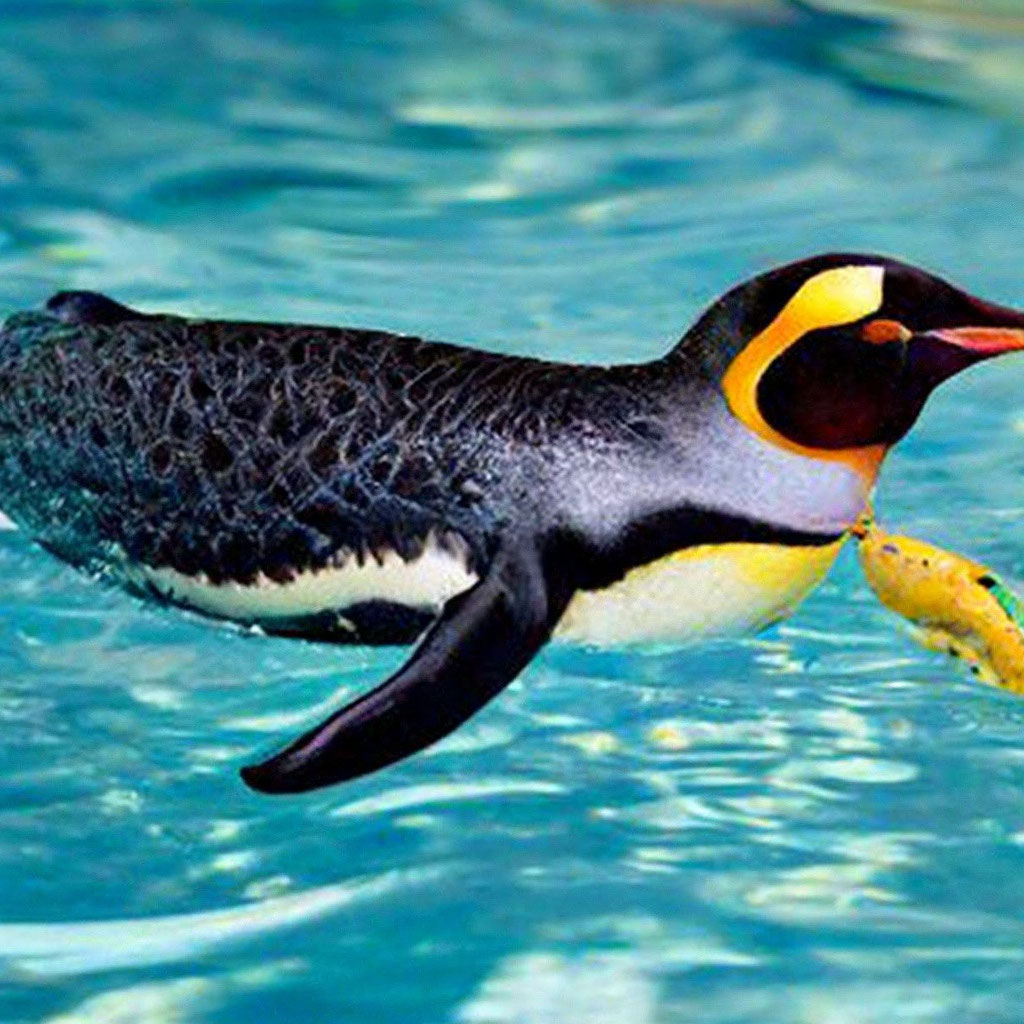 Пингвин в бабочке который плавает в…» — создано в Шедевруме