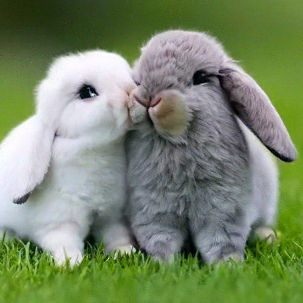 Ночная жизнь и острое зрение