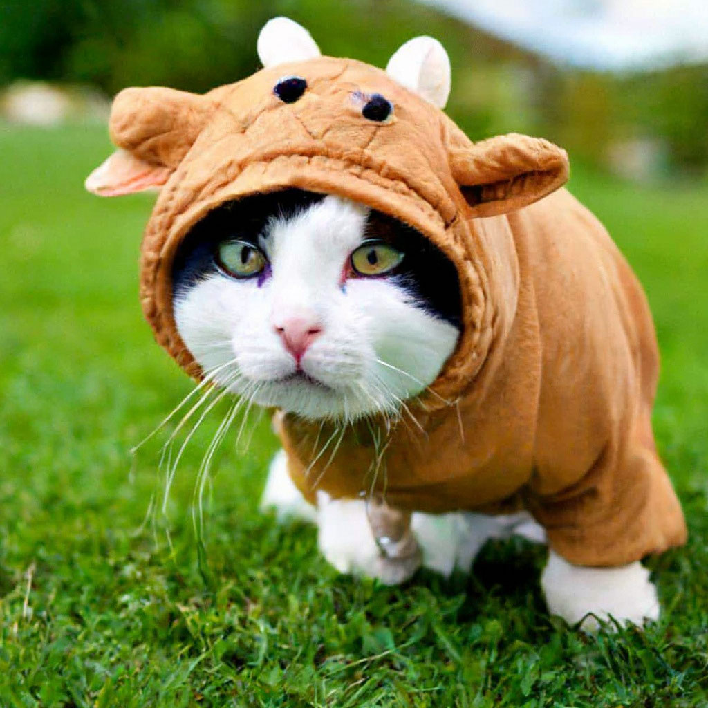 A cat in a cow costume image created in Shedevrum