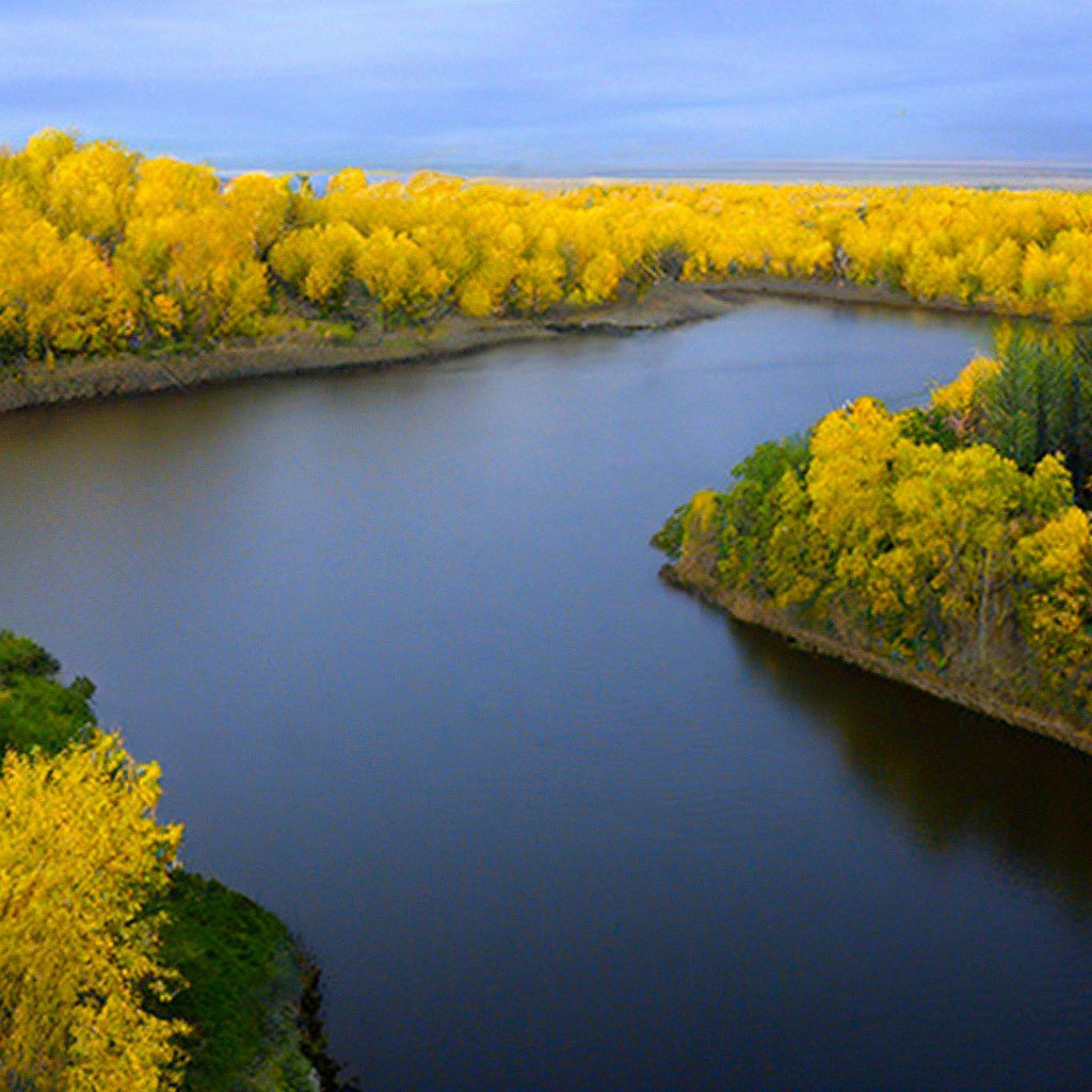 Жёлтая река» — создано в Шедевруме