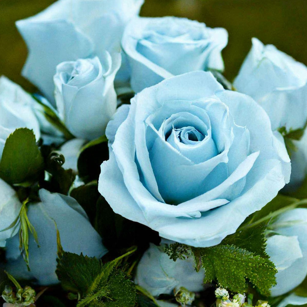 «Букет нежно голубых роз» — создано в Шедевруме
