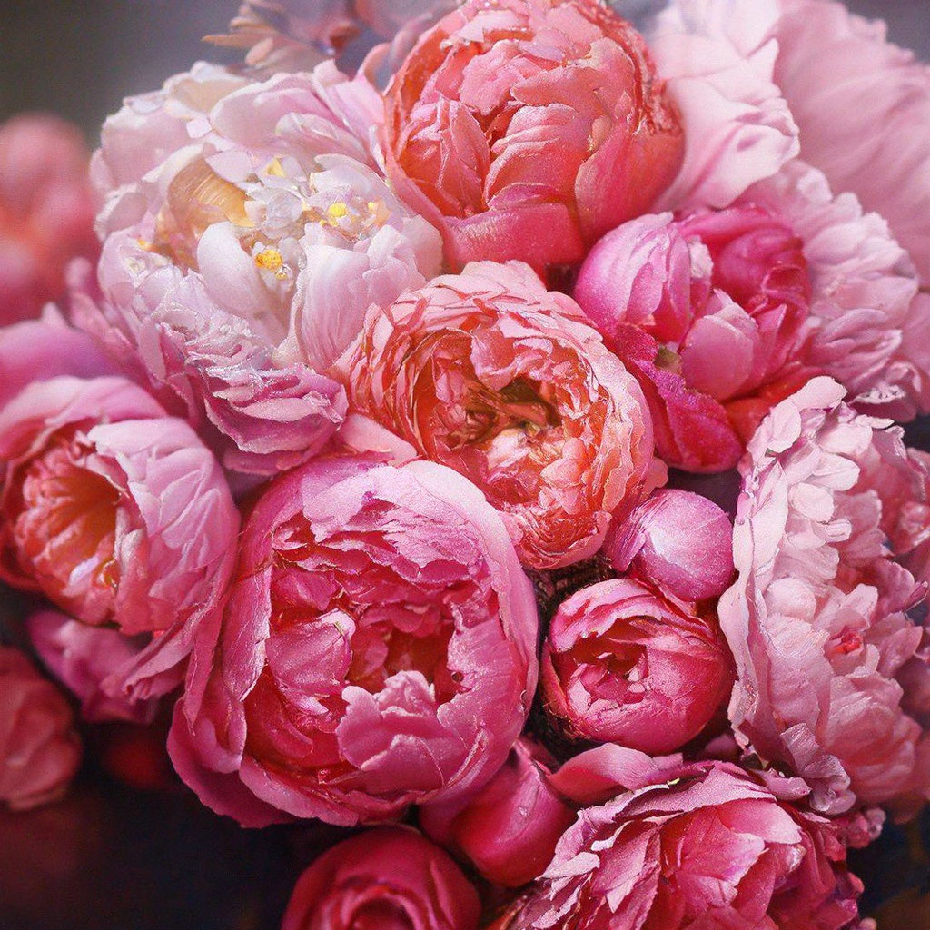 «Розовый детали цвет камни розы …» — создано в Шедевруме