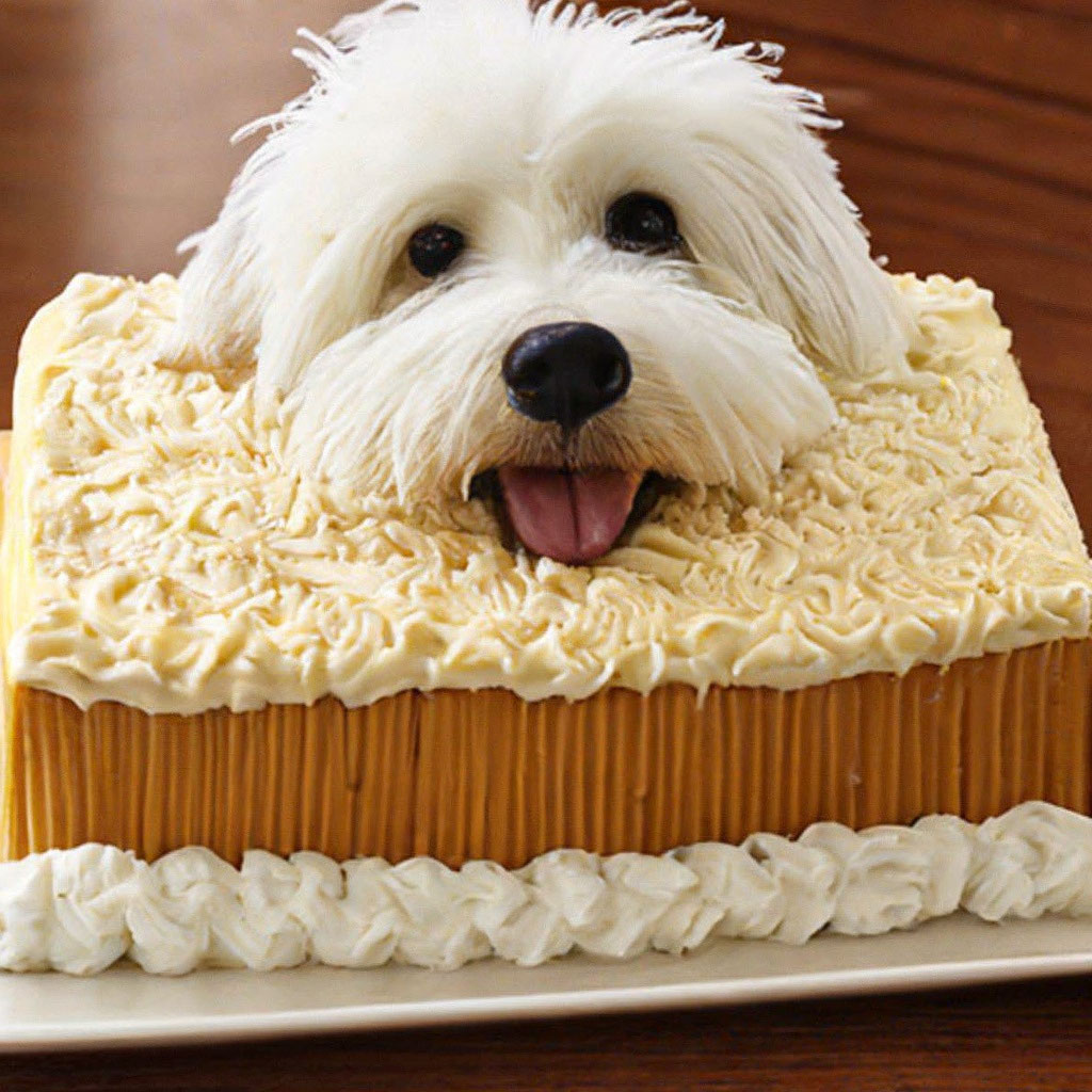 Торт собака кремовый - 75 фото