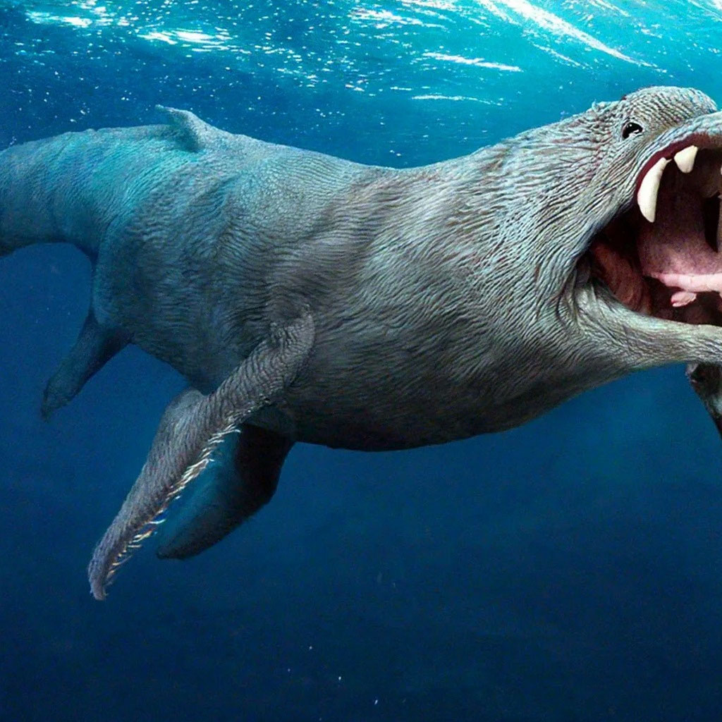 «Чупакабра +?» — создано в Шедевруме